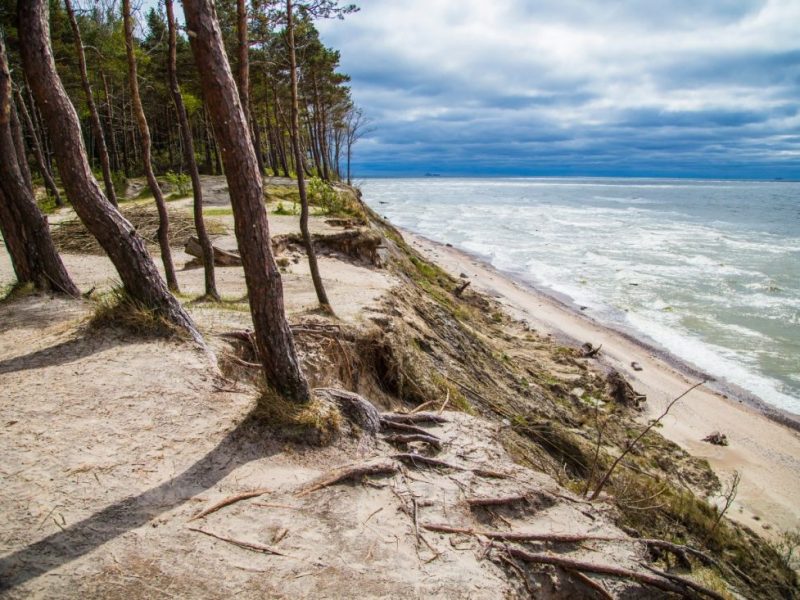 Explore baltics by bike